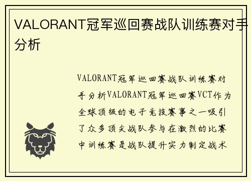 VALORANT冠军巡回赛战队训练赛对手分析