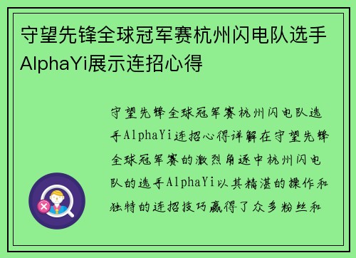 守望先锋全球冠军赛杭州闪电队选手AlphaYi展示连招心得
