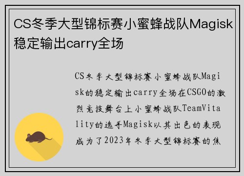CS冬季大型锦标赛小蜜蜂战队Magisk稳定输出carry全场