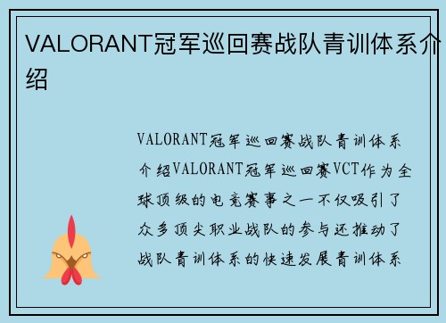 VALORANT冠军巡回赛战队青训体系介绍